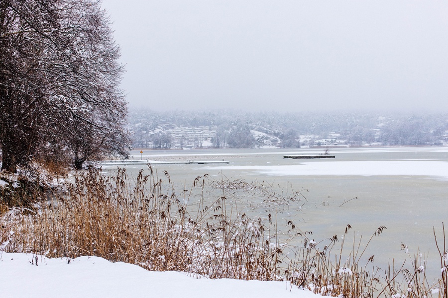 Sisjon_vinter-1