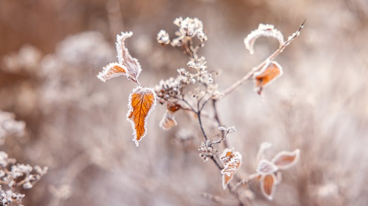 Transformator i full drift efter sommarens strömavbrott
