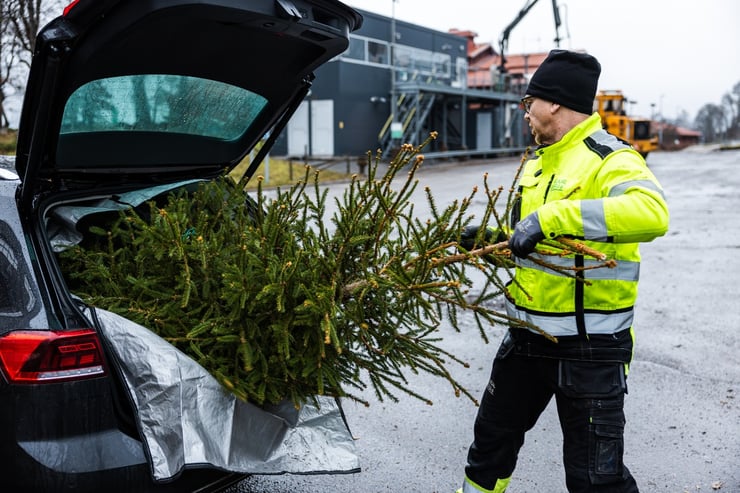 Julgranslamning_2022_SkvaderMedia (4)-1
