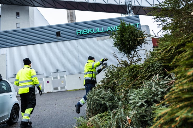 Julgranslamning_2022_SkvaderMedia (5)-1