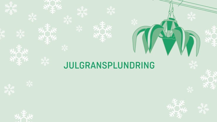 Julgransplundring 2020_Molndal_Energi