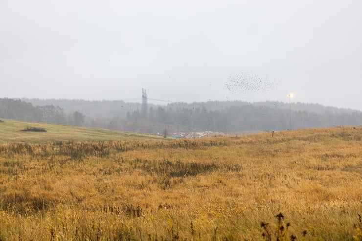 SolcellsparkMolndalEnergi_FotoSkvaderMed (11)_webb