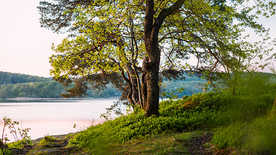 mail allmänna avtalsvillkor elnät