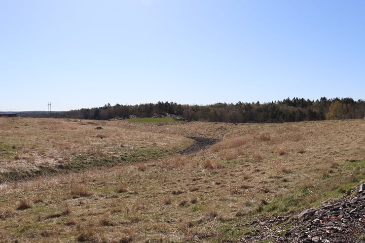 Kikås solpark vår 22