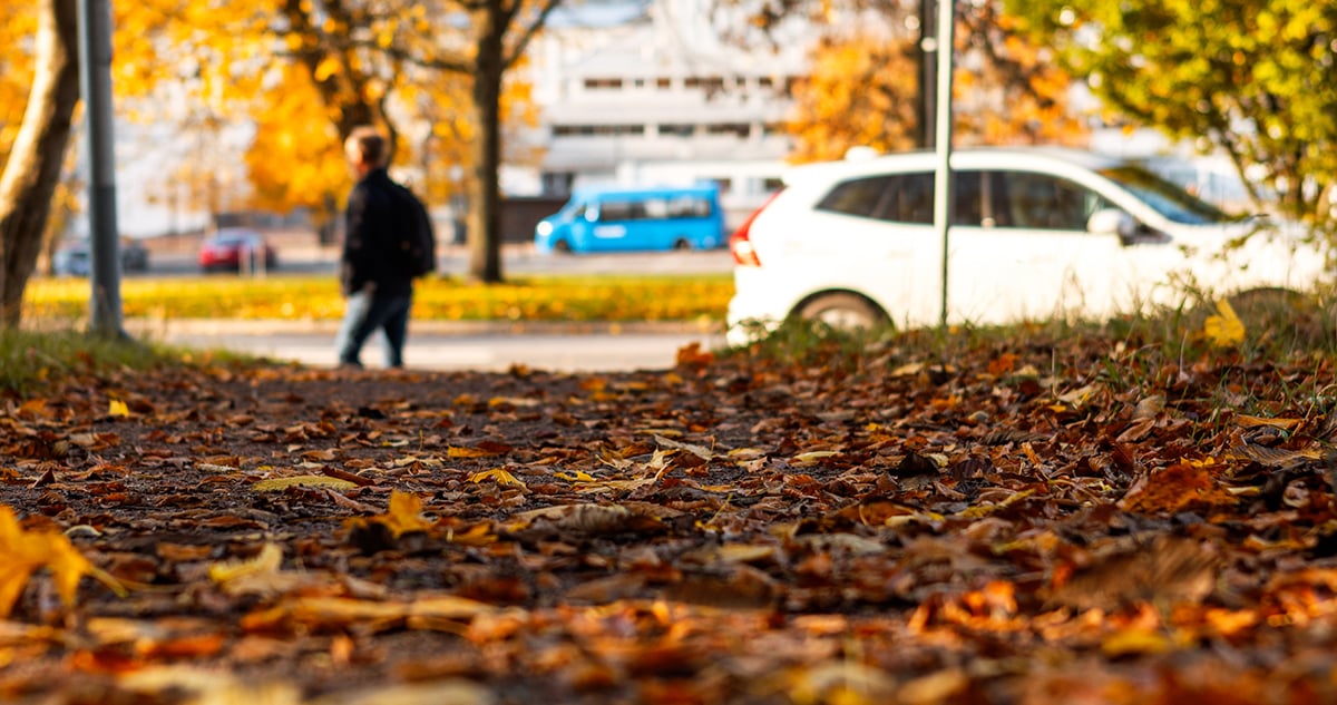 effekteffektivisering