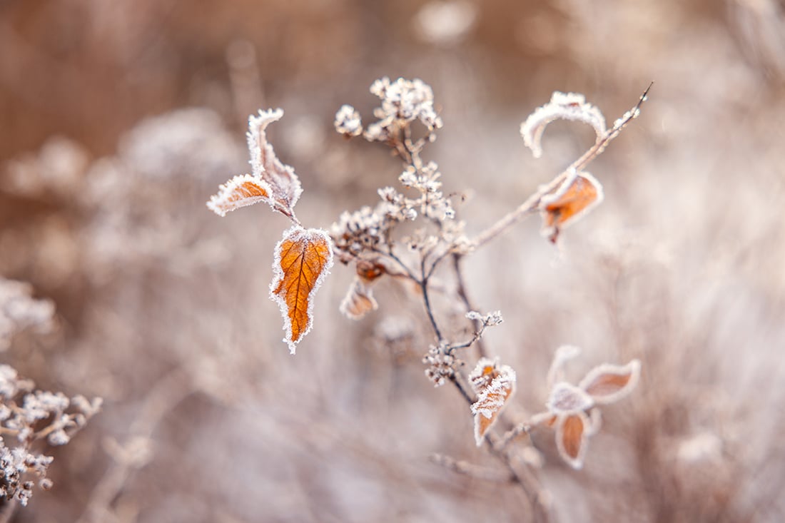 högre elhandelspriser i vinter – så kan du förbereda dig