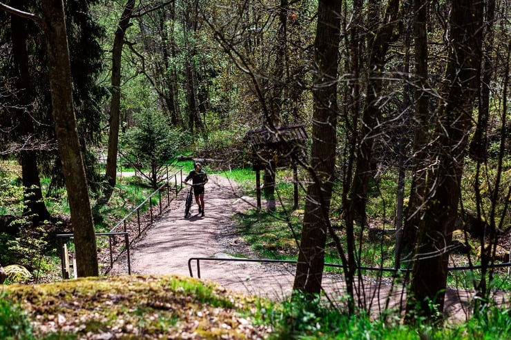 marknadskommentar maj 2023_Skog och man som går med cykel-1