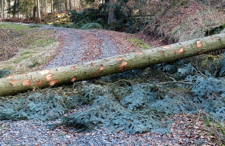stromavbrott stromavbrott