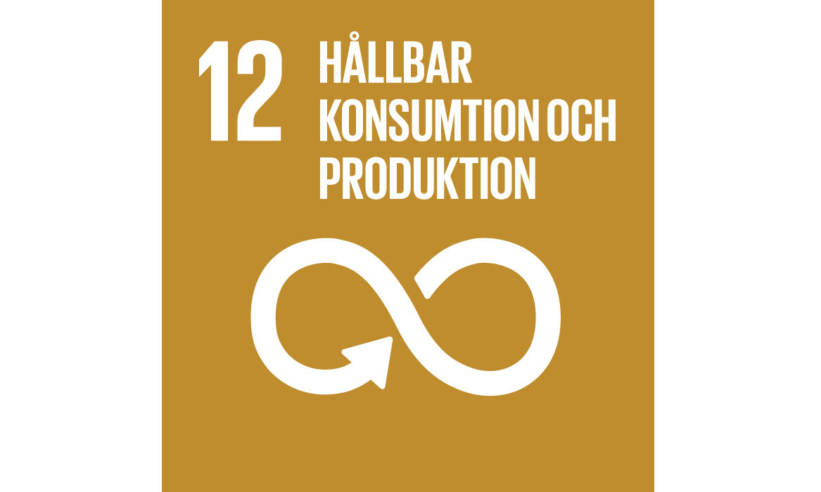 12-hallbar-konsumtion-och-produktion_Mölndal Energi
