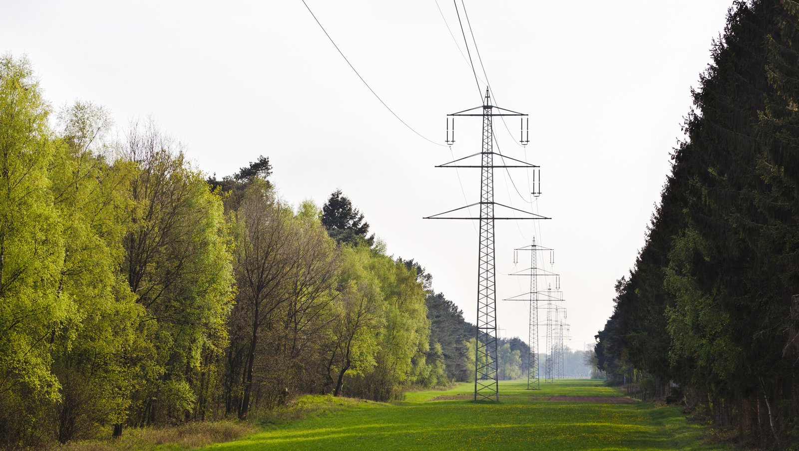 elnat-ledningar-foretag-molndal-energi