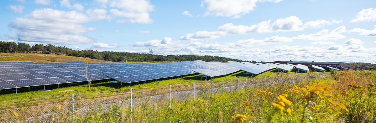 Solpark Kikås Hero