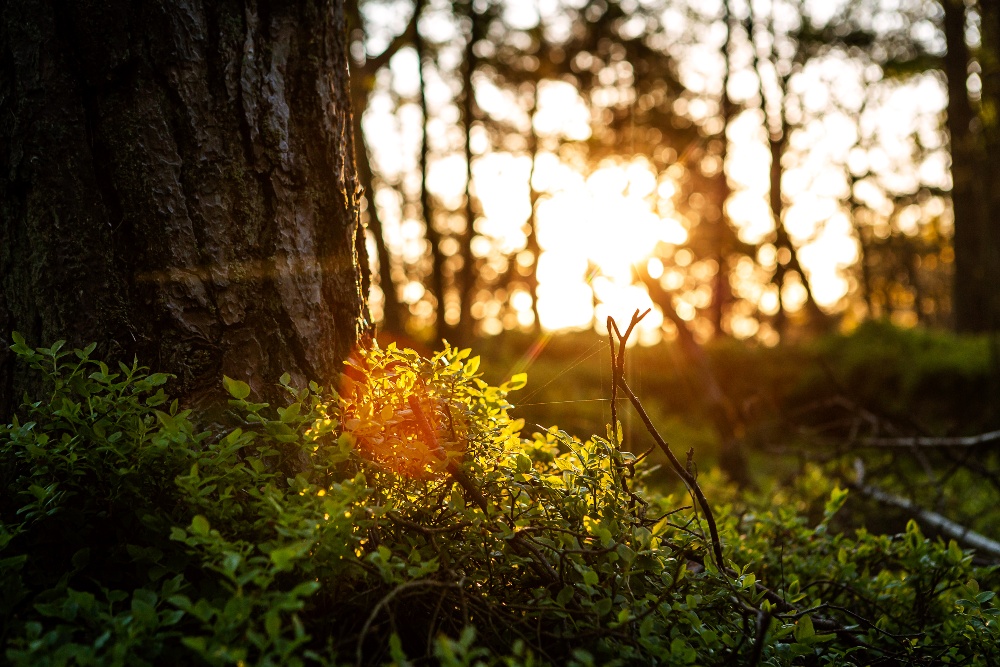 _07A8653-Edit-1-1